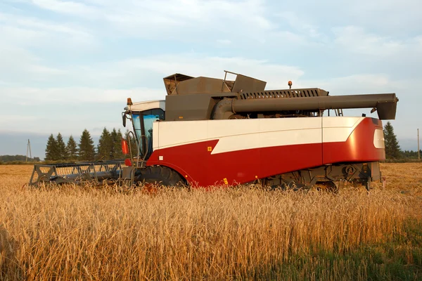Grain combine — Stock Photo, Image